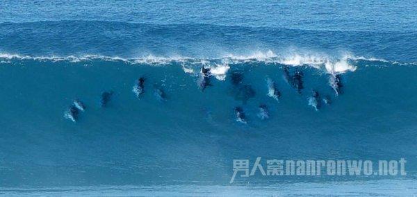 荒岛枪训